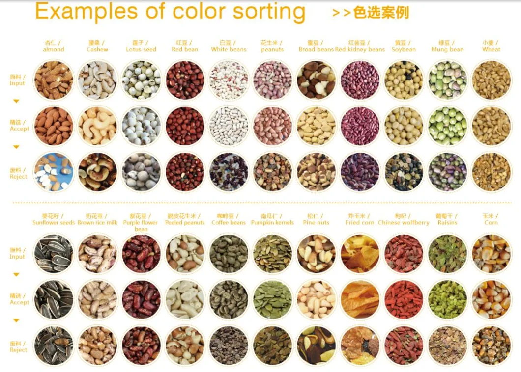 8 Chutes Cashew Nut Colour Sorting Machine Cashew Nut Color Selector