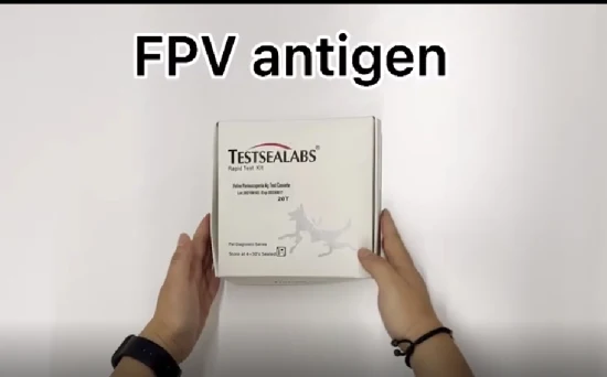 Veterinary Diagnostic Kit Feline Panleucopenia Antibody Test FPV Ab